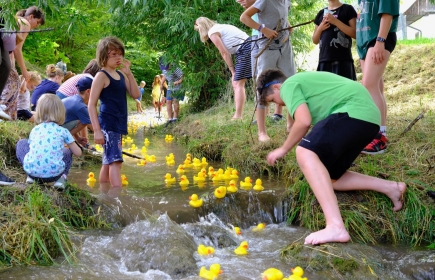 3500 kleine gelbe Glücksbringer schwimmen im Ulrichsbacherl um die Wette. Zu gewinnen sind mehr als 100 tolle Preise.